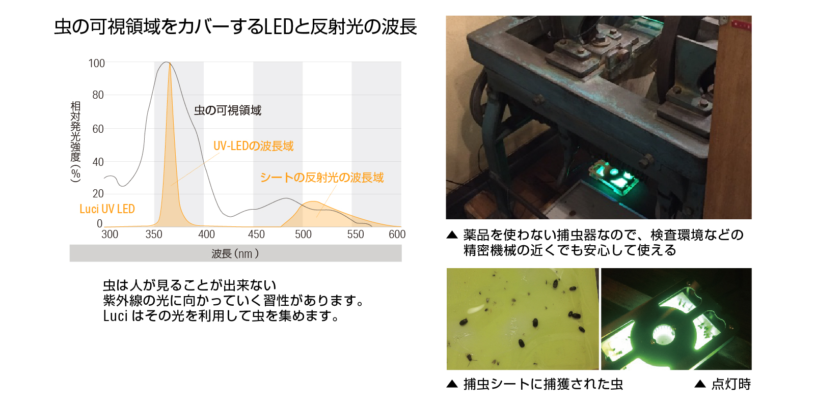 虫の可視領域をカバーするLEDと反射光の波長