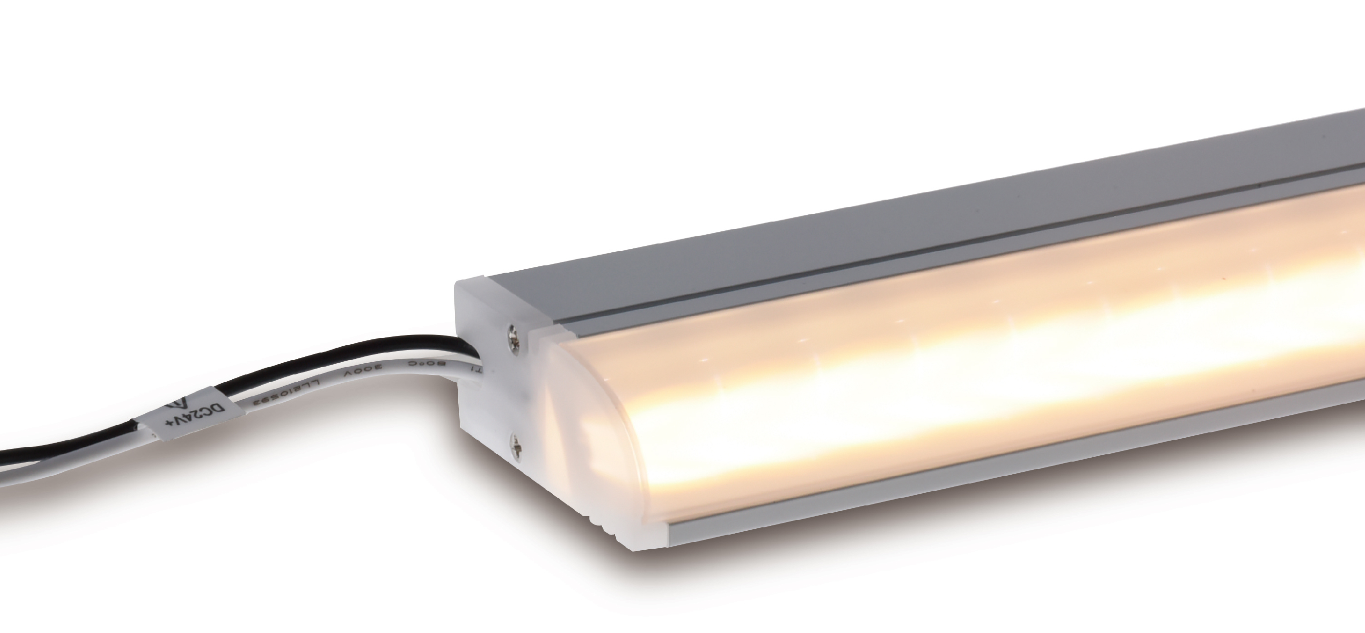 Luci SHIN Creide lens