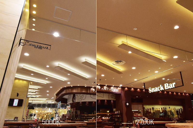 Luci SHIN FLEX THOF Two-Channel Control for Precision Dimming and Customizable Light Sequences