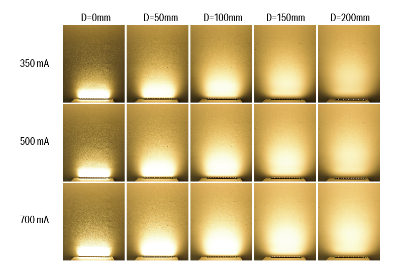 Luci Vivoxy Graze Impact of Offset Distance in Wall Grazing