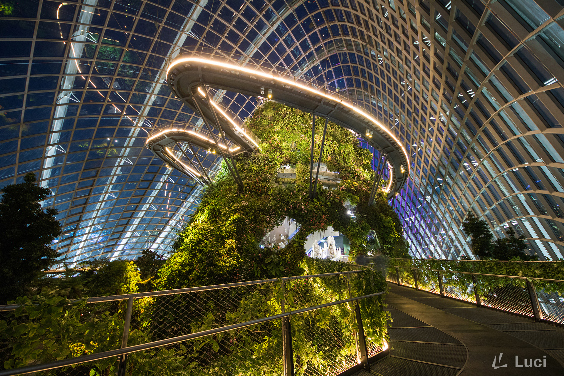 Gardens by the Bay, Cloud Forest