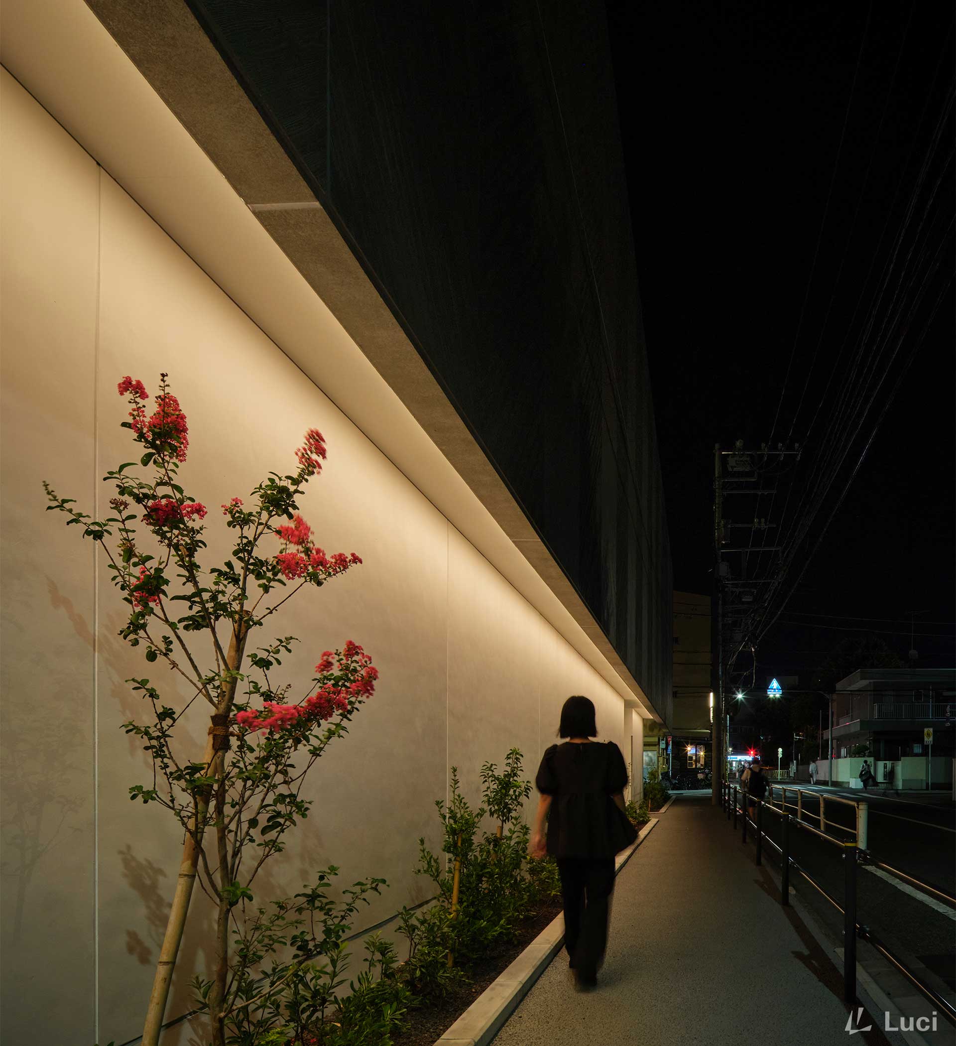 NX Budokan